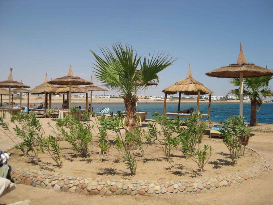 Ein wenig grün Pickalbatros Aqua Park Resort - Hurghada