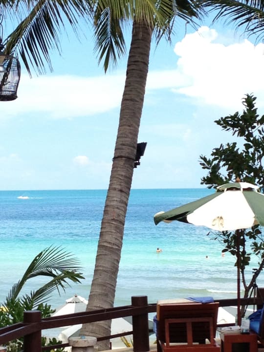 Bequem liegen und dann ein solcher Ausblick Banana Fan Sea Resort