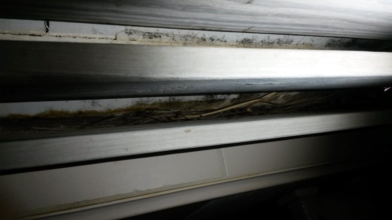 Verdreckte Fensterlamellen Cocobay Resort Antigua - Adults only