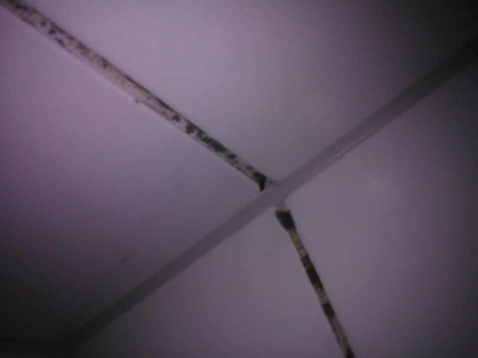 Und noch mehr schwarzer Schimmel Hotel Baslertor