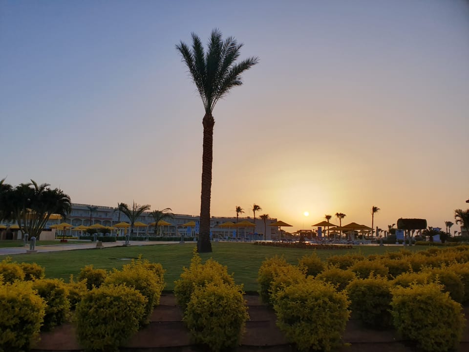 Ausblick Pickalbatros Royal Moderna Resort-Sharm El Sheikh