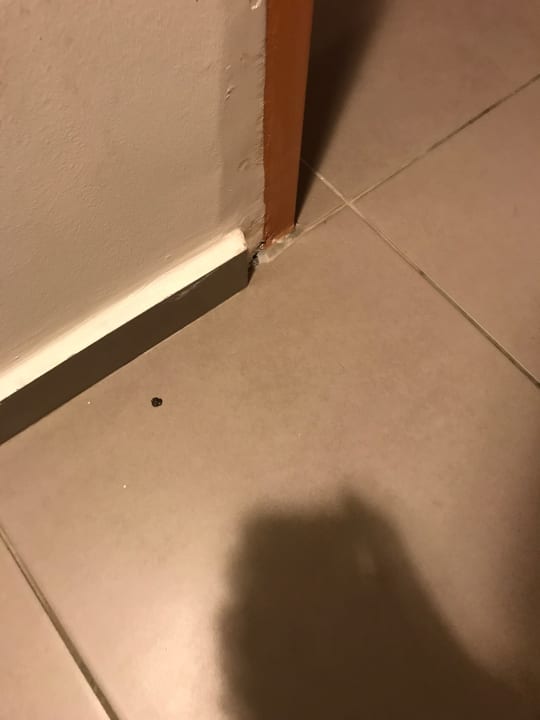 Zimmer Hotel Pine Bay Holiday Resort