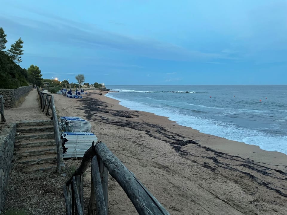 Strand Club Esse Palmasera