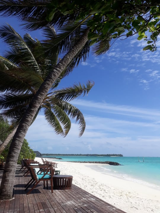 Gastro Summer Island Maldives