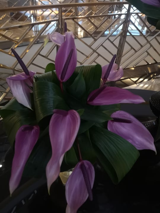 Sonstiges Saturn Palace Resort Hotel