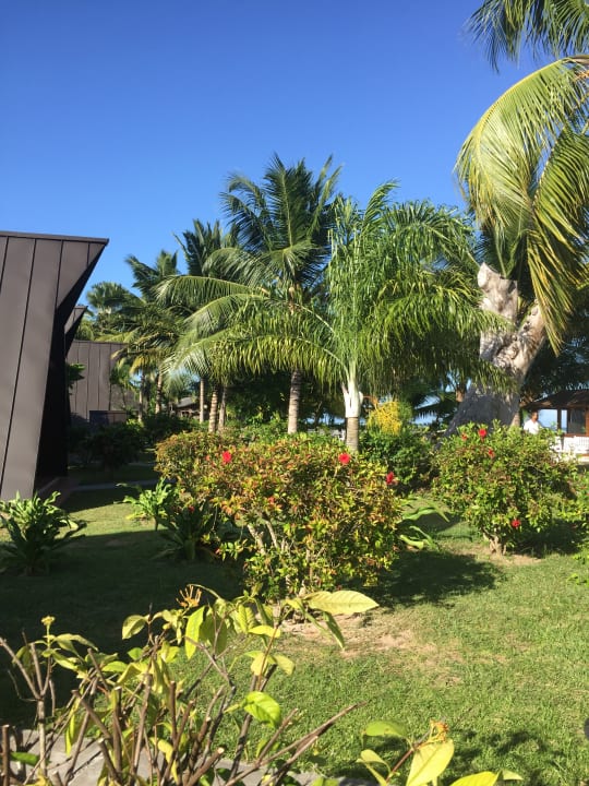 Gartenanlage La Digue Island Lodge