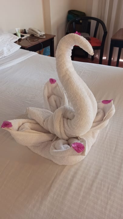 Zimmer Three Corners Sea Beach Resort