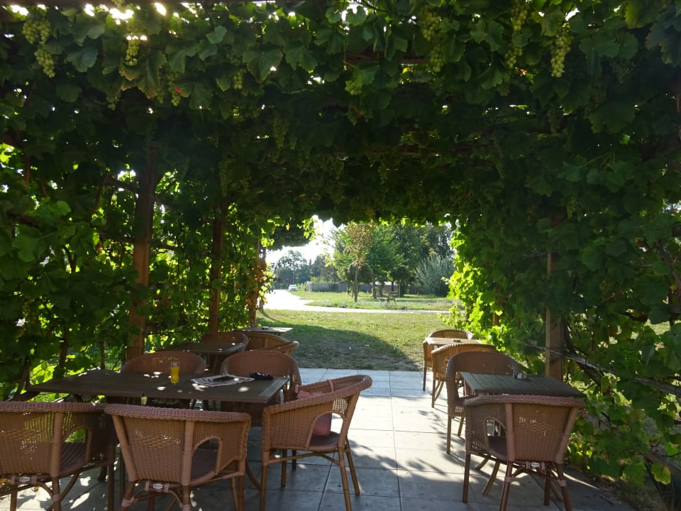 Gartenanlage JUFA Hotel Weinviertel