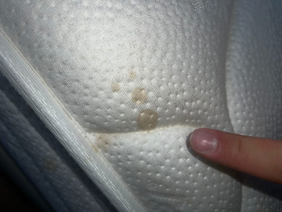 Zimmer Mylome Luxury Hotel & Resort