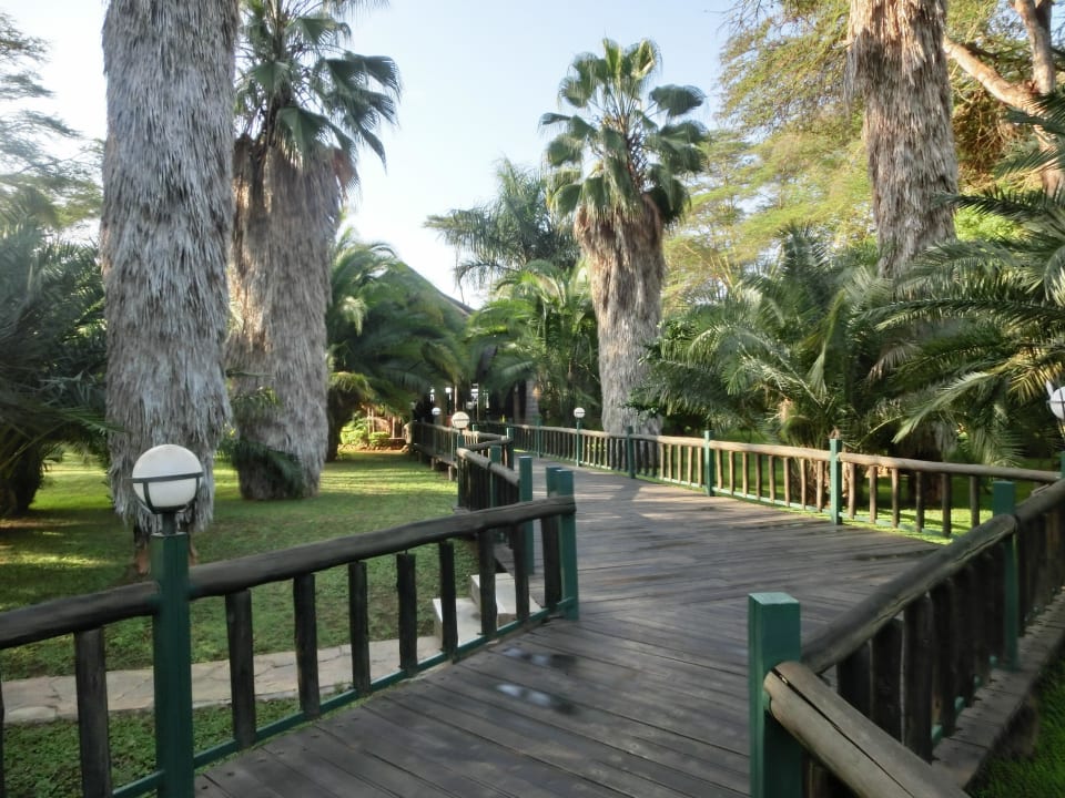 Weg zur Lobby Ol Tukai Lodge
