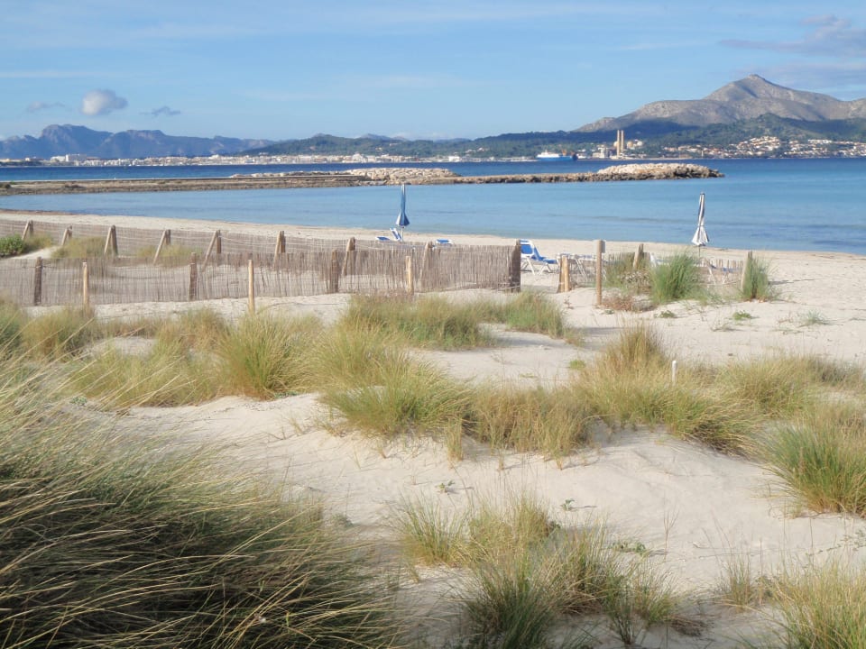 Wie auf Sylt Grupotel Natura Playa