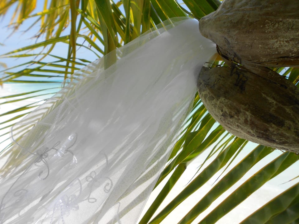 Wedding meeru Meeru Maldives Resort Island