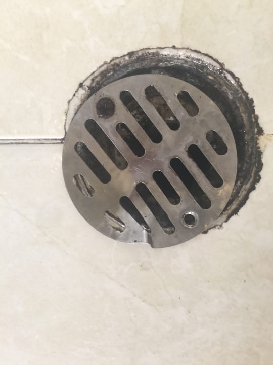 Zimmer Hotel Viva Dominicus Beach by Wyndham - All Inclusive Resort