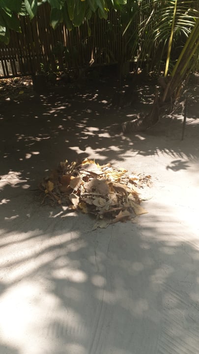 Gartenanlage Kuredu Island Resort & Spa