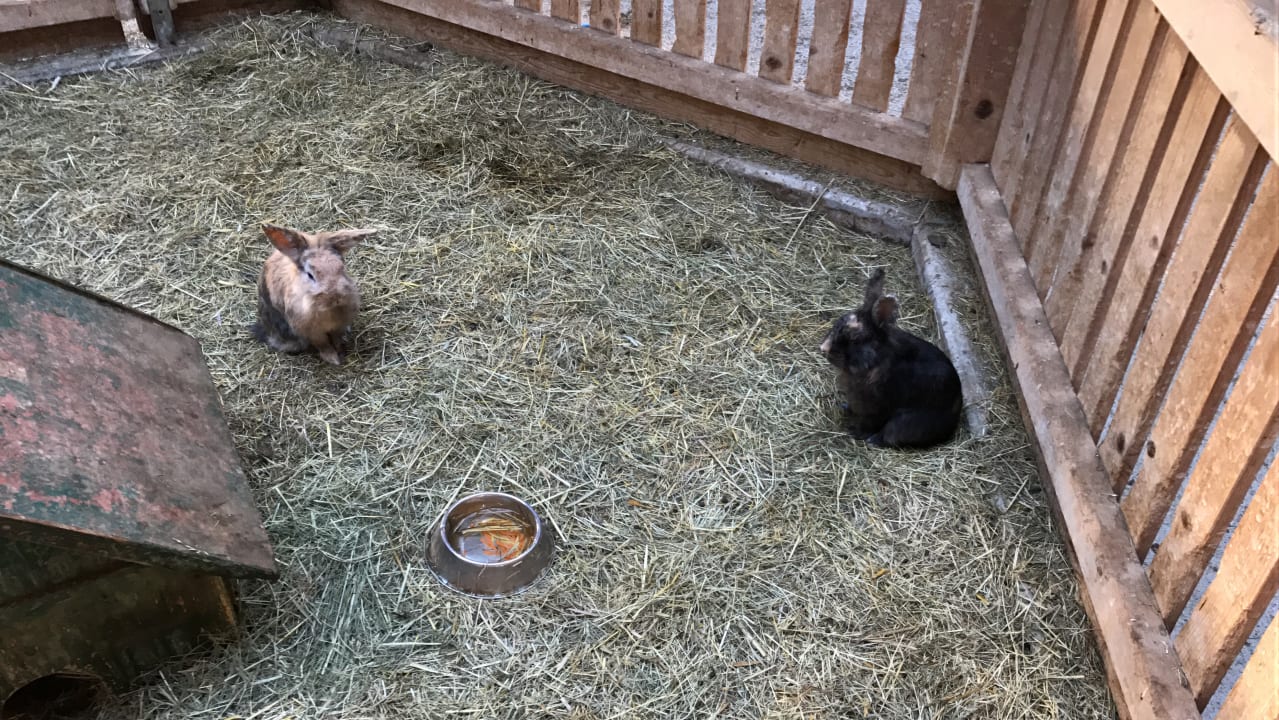 Sport & Freizeit Kinderhotel Felben