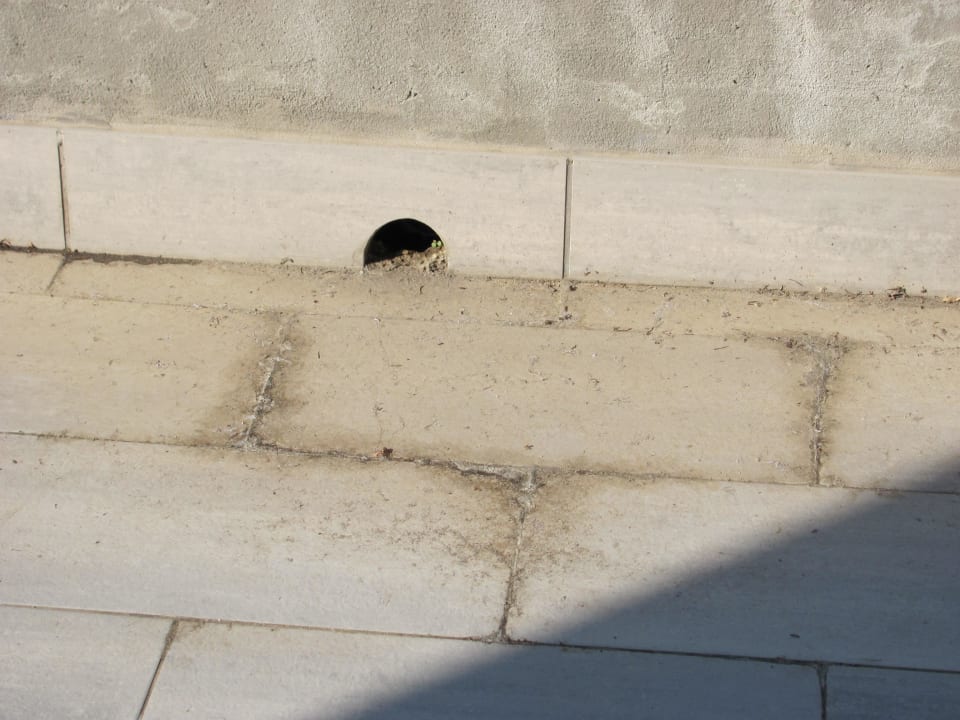 Terrasse Aregai Marina Hotel & Residence