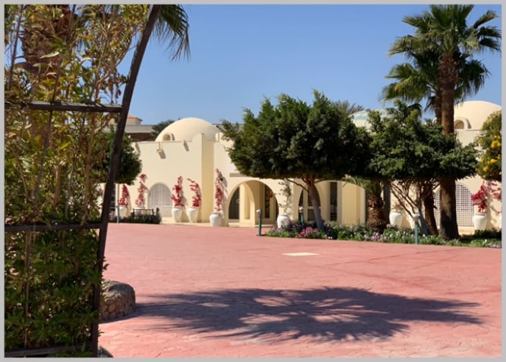 Außenansicht Desert Rose