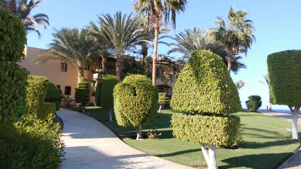 Dazu braucht man nicht viel zu schreiben,Schön!!! Steigenberger Coraya Beach - Adults only