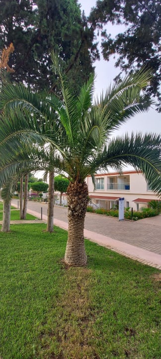 Sonstiges TUI BLUE Tropea
