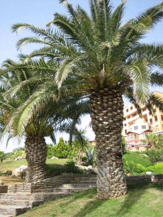Garten ROBINSON SARIGERME PARK