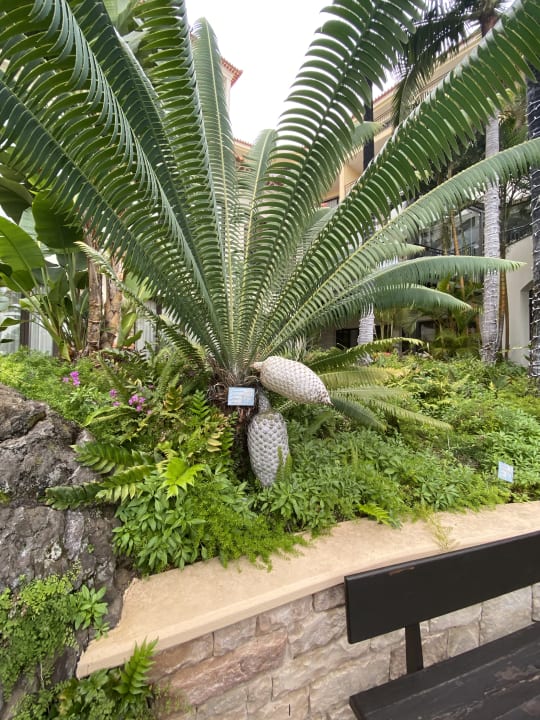 Gartenanlage Hotel Porto Mare - PortoBay