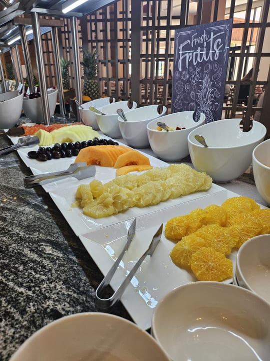 Gastro JAZ Elite Amara