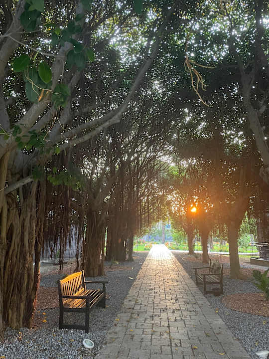 Sonstiges TUI BLUE Palm Garden