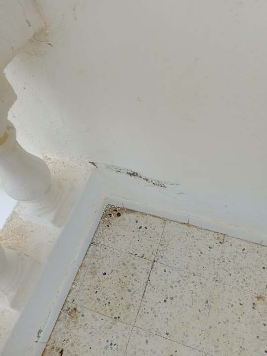 Außenansicht Hotel Neptunia Skanes