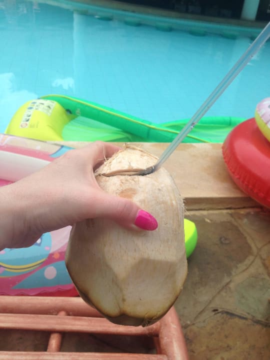 Frische Kokosnuss  Hotel Traveller's Club