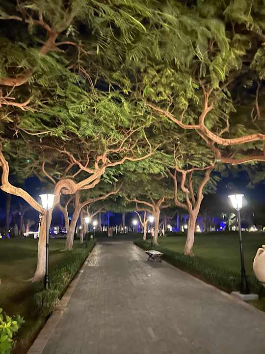 Gartenanlage Steigenberger ALDAU Beach Hotel