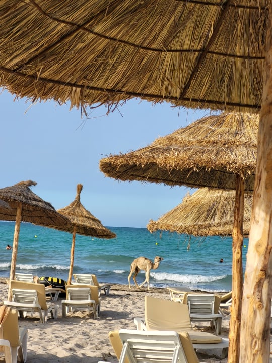 Strand TUI MAGIC LIFE Penelope Beach