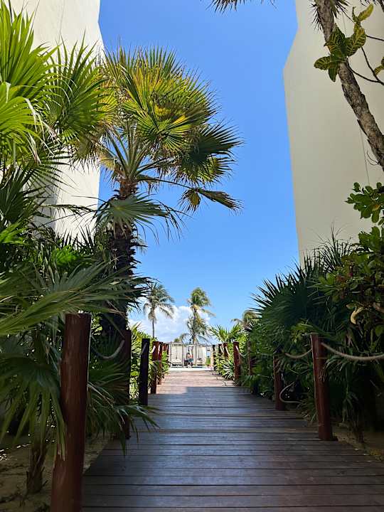 Gartenanlage Akumal Bay Beach & Wellness Resort