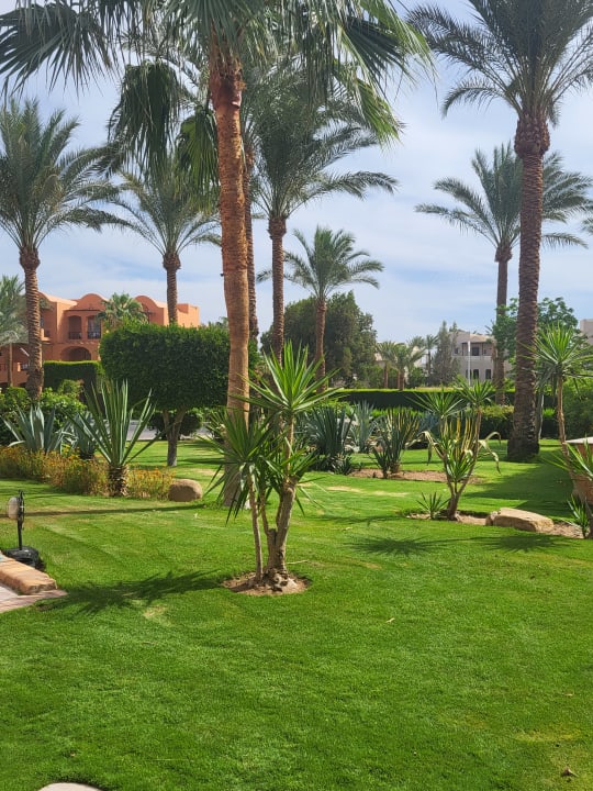 Gartenanlage Jaz Makadi Oasis Resort