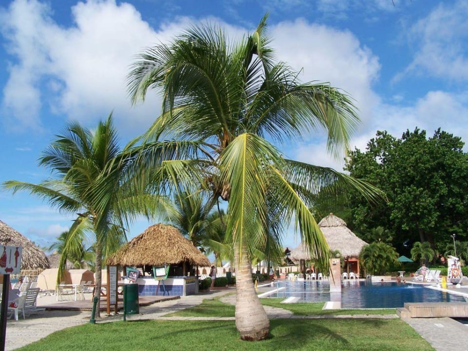 Gartenanlage Grand Decameron Panama, A Trademark All Inclusive Resort