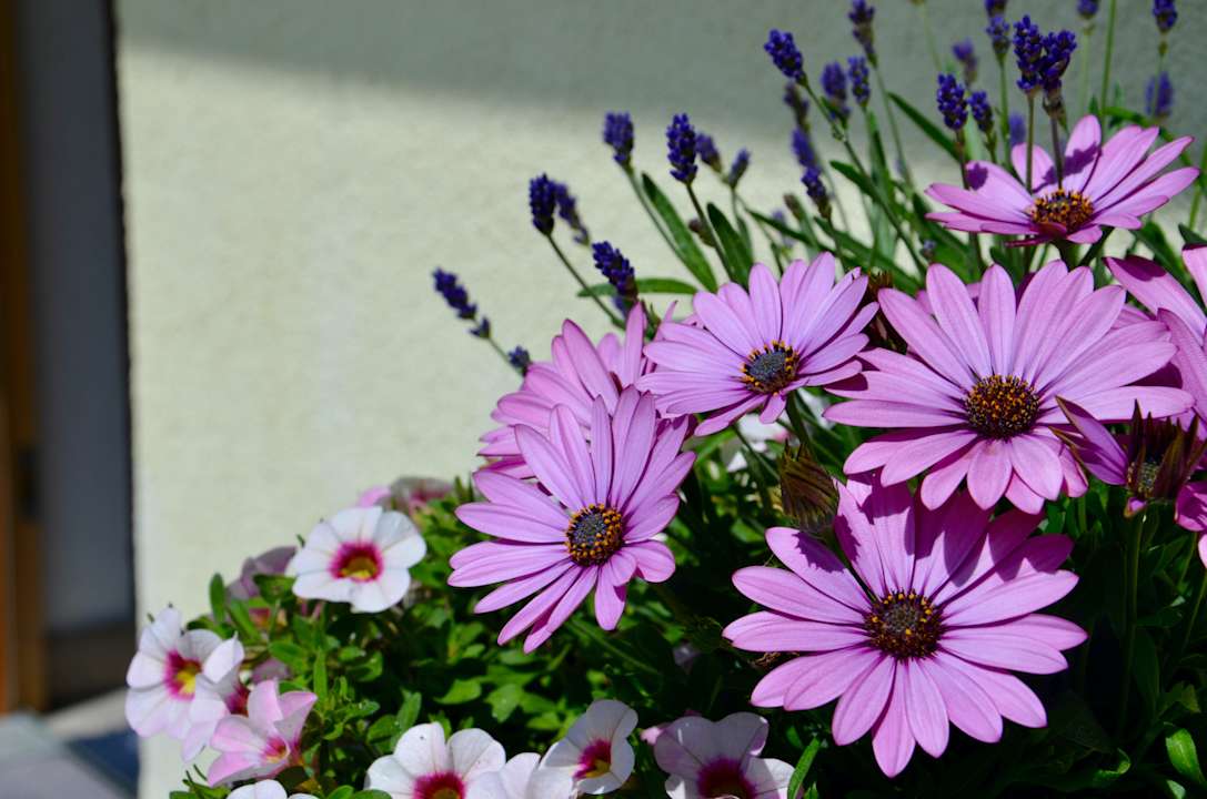Gartenanlage Ferienhaus Tirol im Ötztal