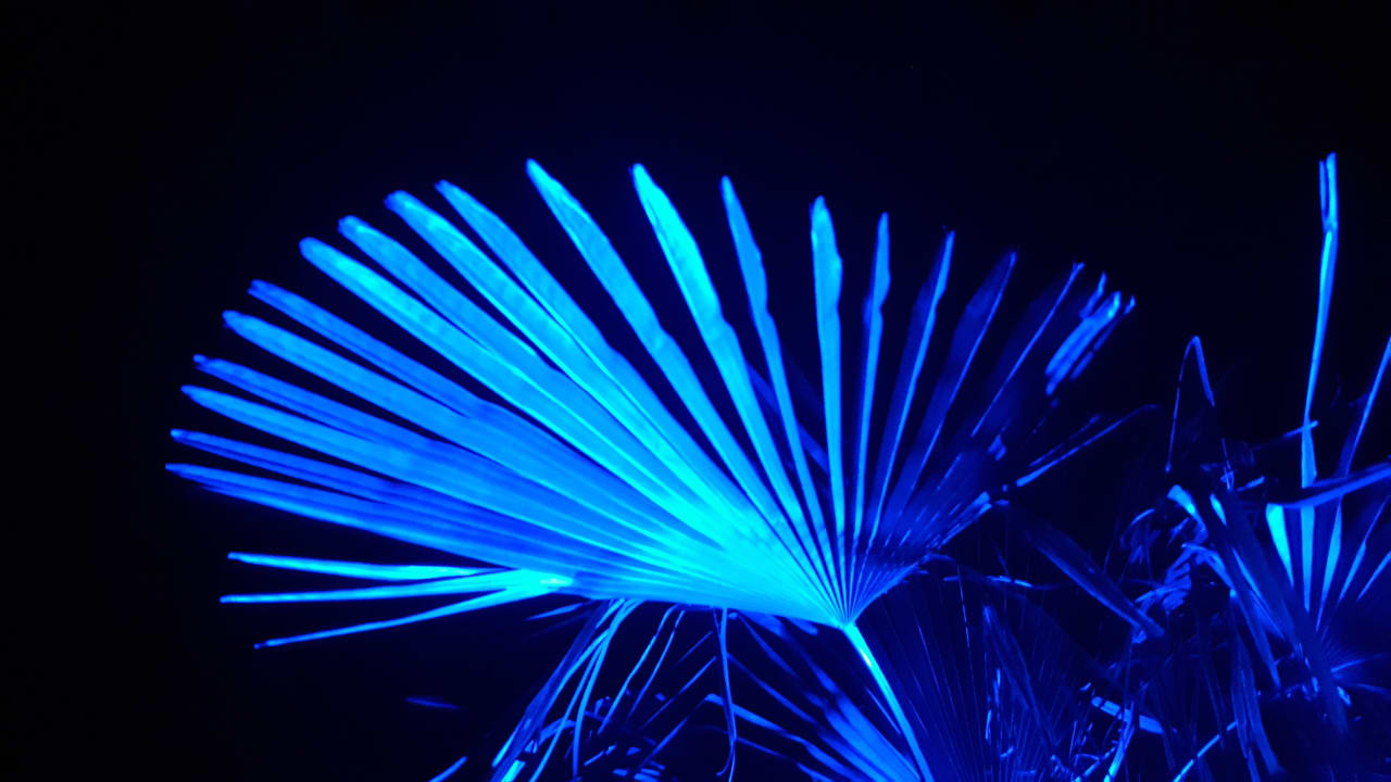 Ausblick Vitalhotel König am Park