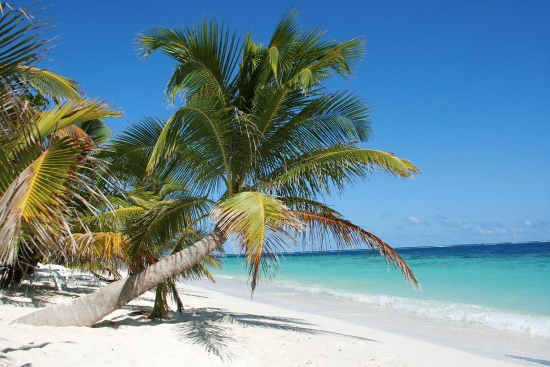 Katalog-Palme Adaaran Club Rannalhi - All Inclusive