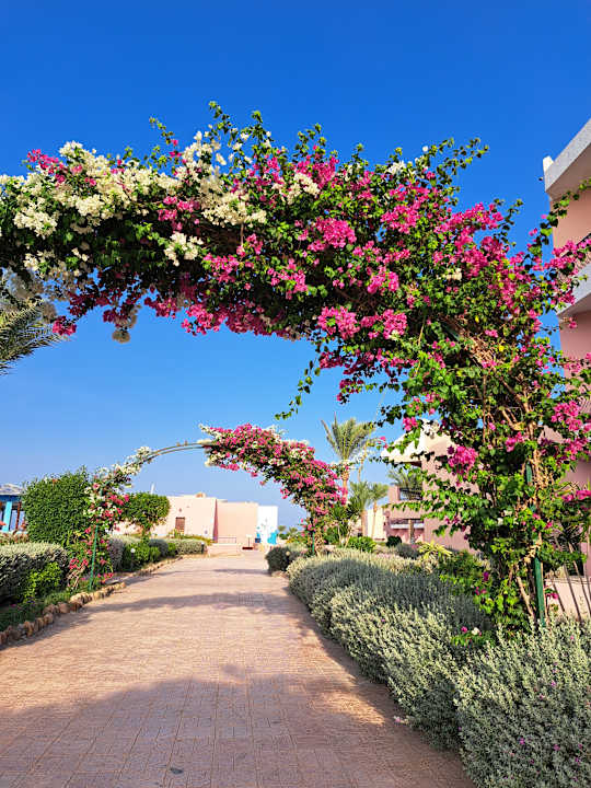 Gartenanlage MG Alexander The Great Hotel