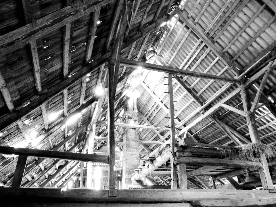 Der alte Stadl LUXGUT - OLIVIA