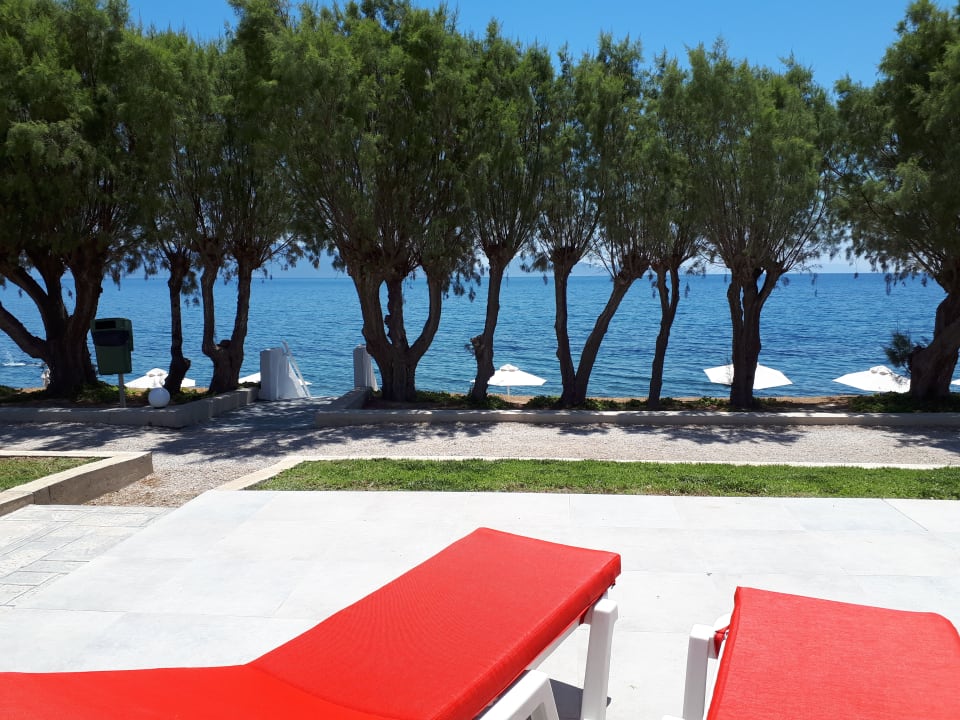 Ausblick Dimitra Beach Hotel & Suites