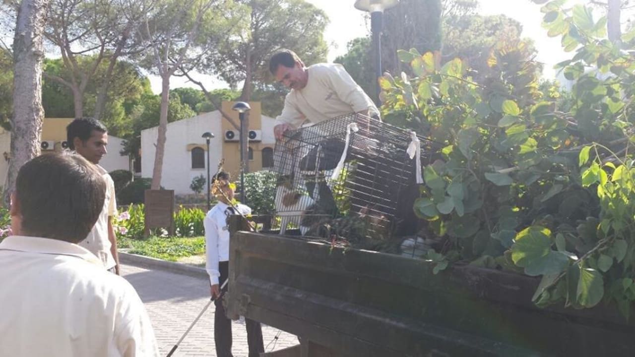 Und weg damit  Acapulco Beach Club & Resort