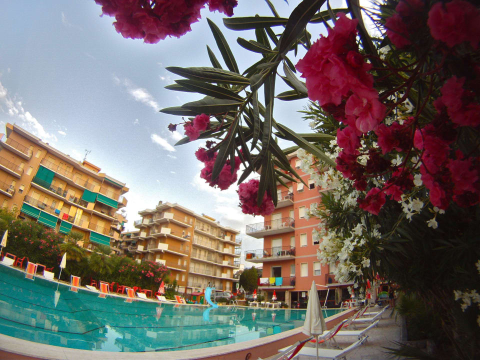 Nerius oleandro Hotel Perla Marina