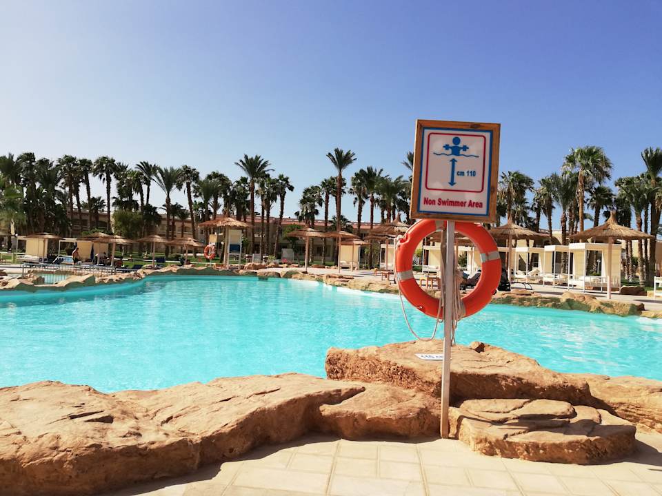 Pool Beach Albatros Resort