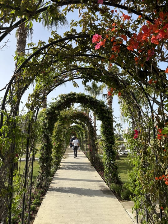 Gartenanlage Hotel Novum Garden Side