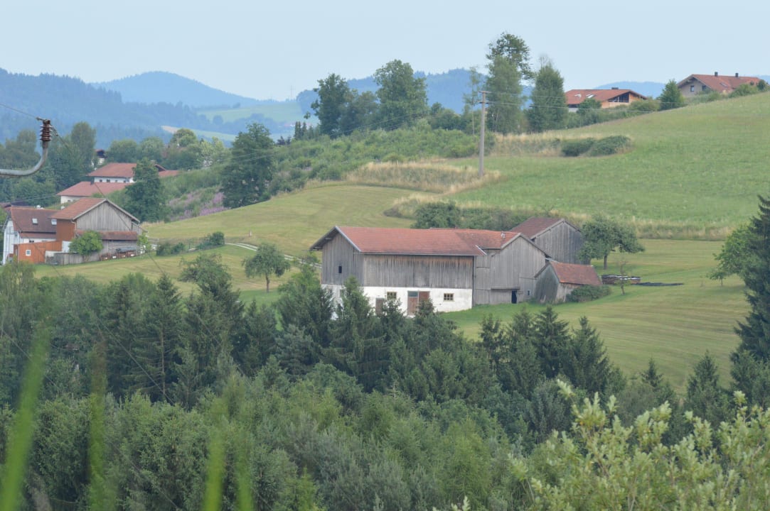 Ausblick Brunnerhof Erlebnisbauernhof Brunnerhof