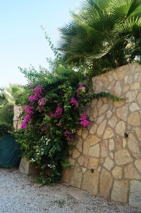 Hotel Club Paradiso Hotel Club Paradiso