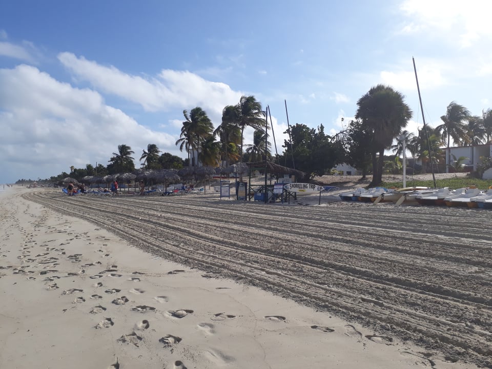 Strand Starfish Cuatro Palmas