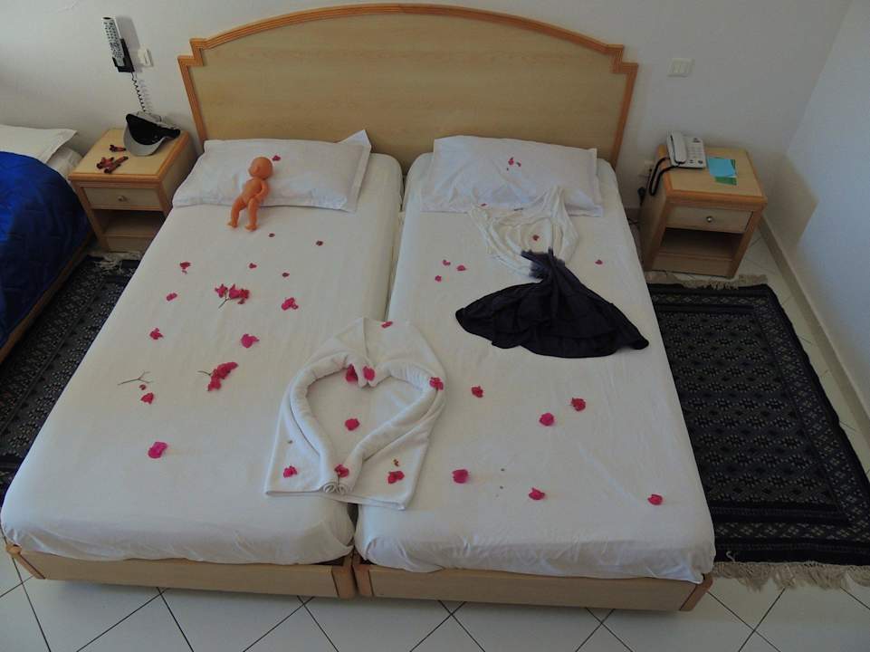 Immer neue Ideen Hotel Nesrine