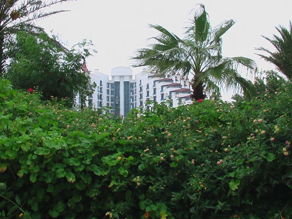 Hauptgebäude Green Max Hotel