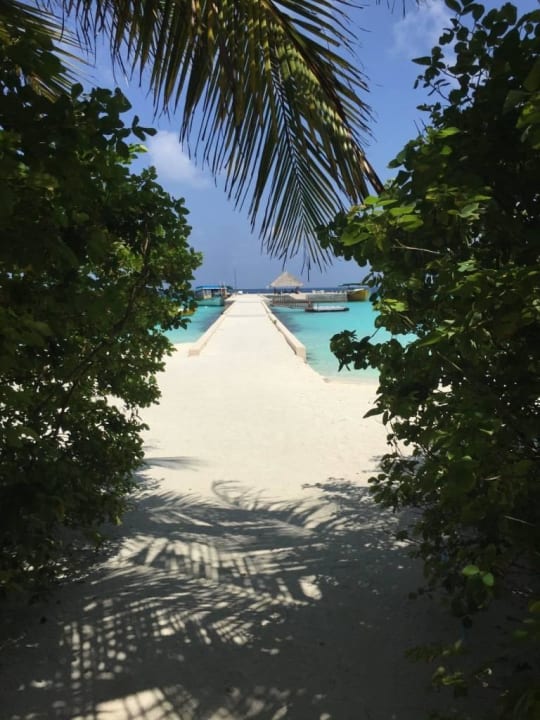 Bootssteg Summer Island Maldives
